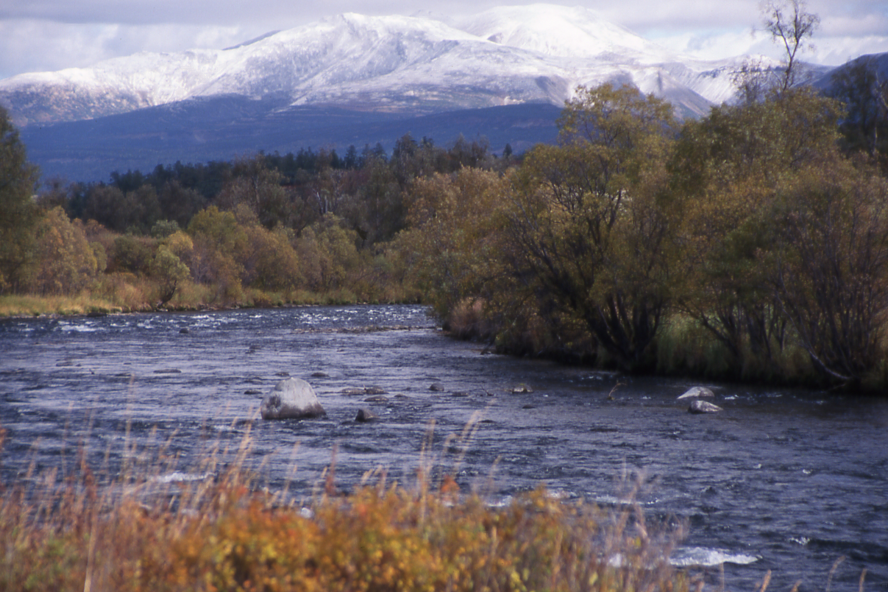 Naturlandschaft Bystrinski