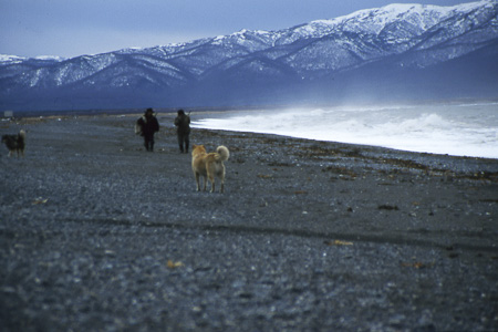 Studies in Social and Cultural Anthropology