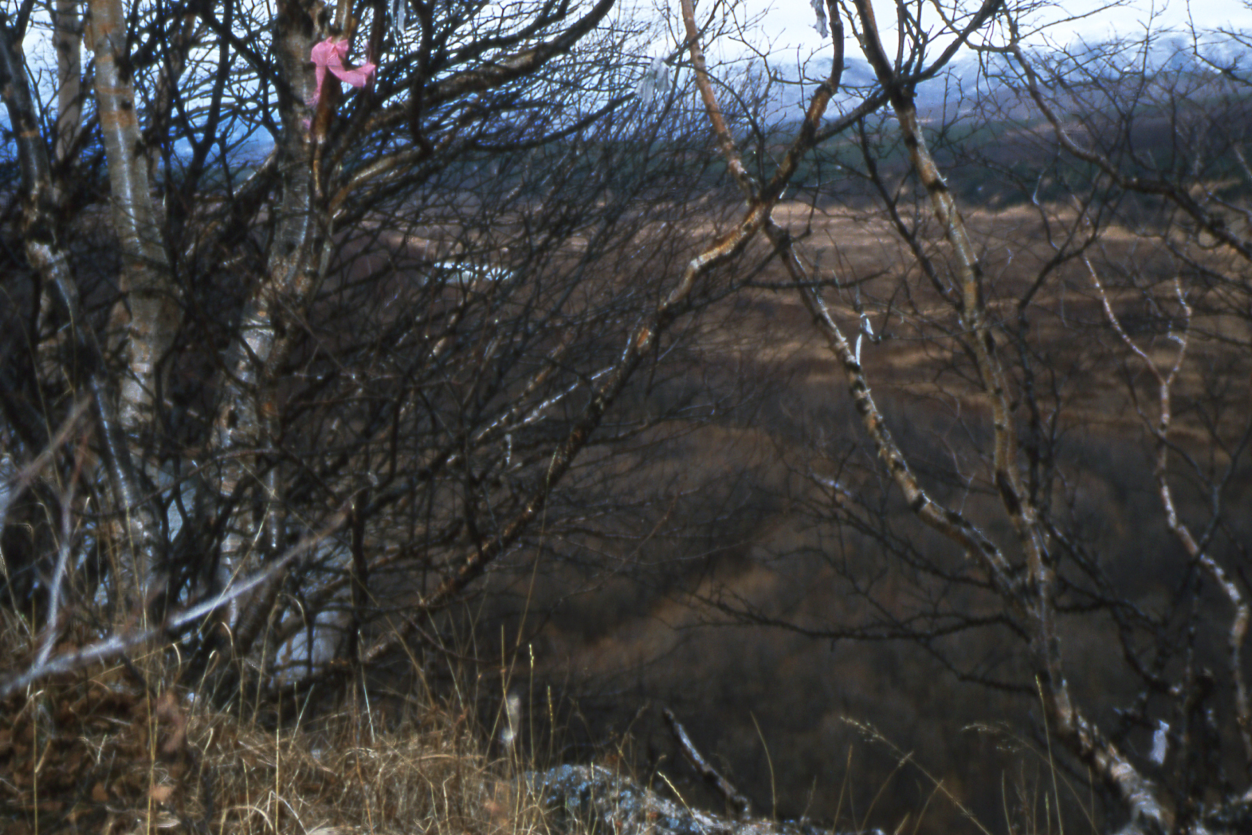 Sacred Places and individual rituals