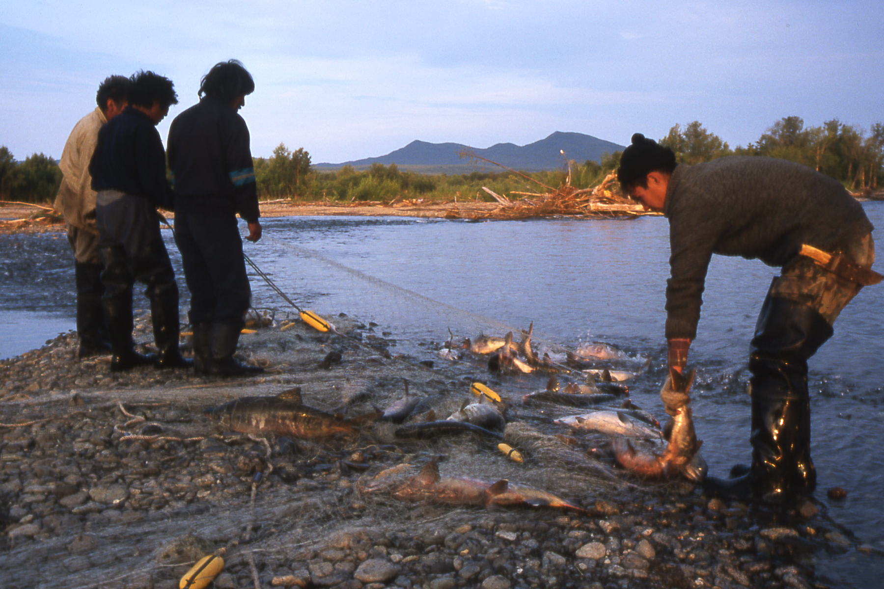 Fischfang in Lesnaja