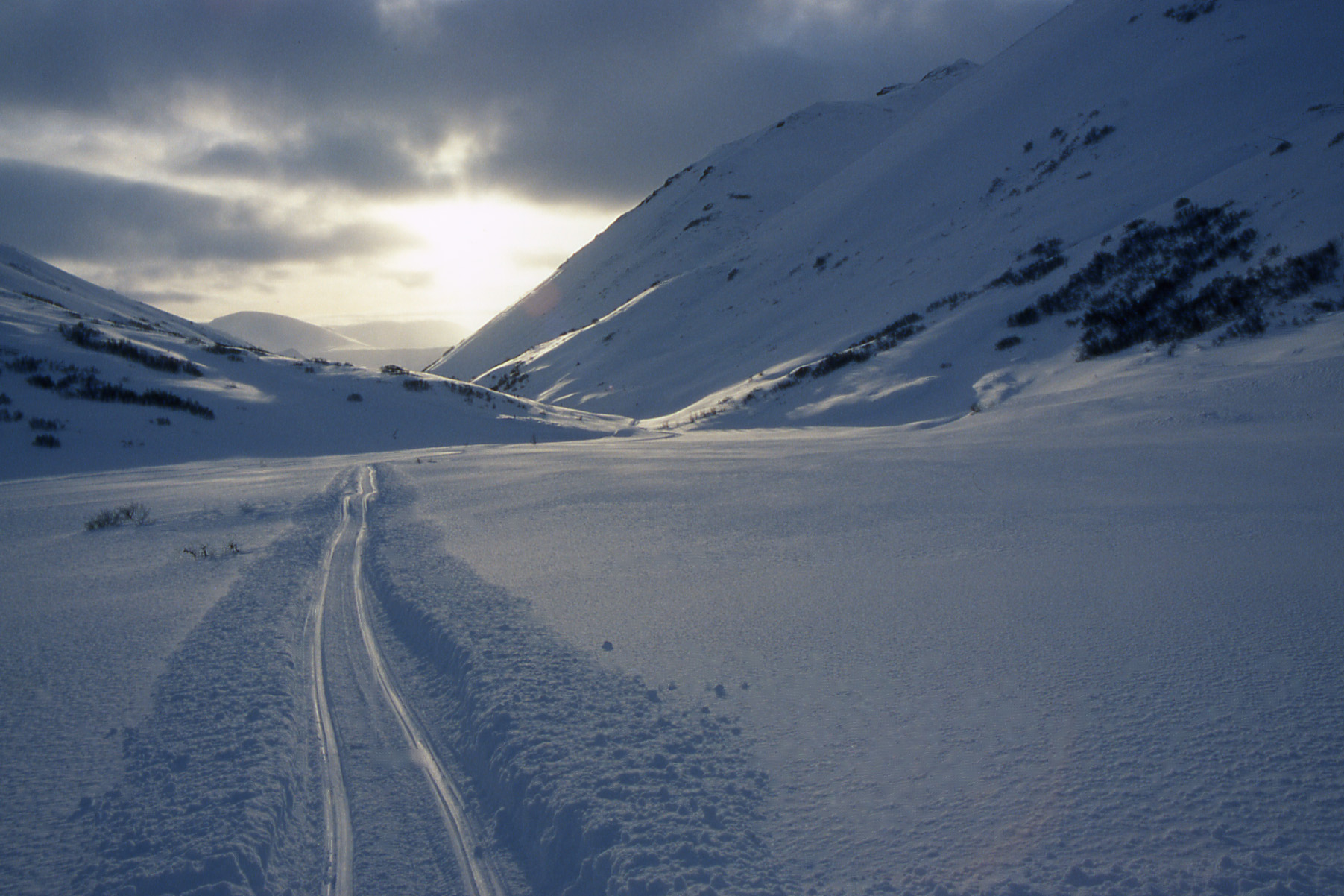 Impact of climate change on the indigenous peoples of the North