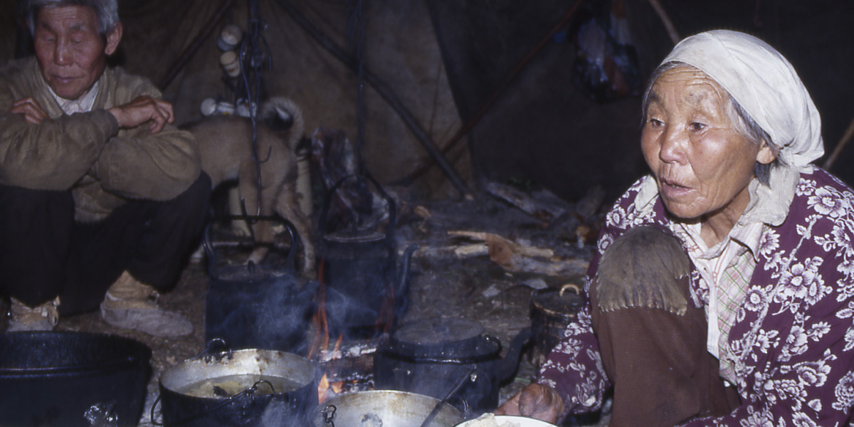 Indigenous knowledge and languages