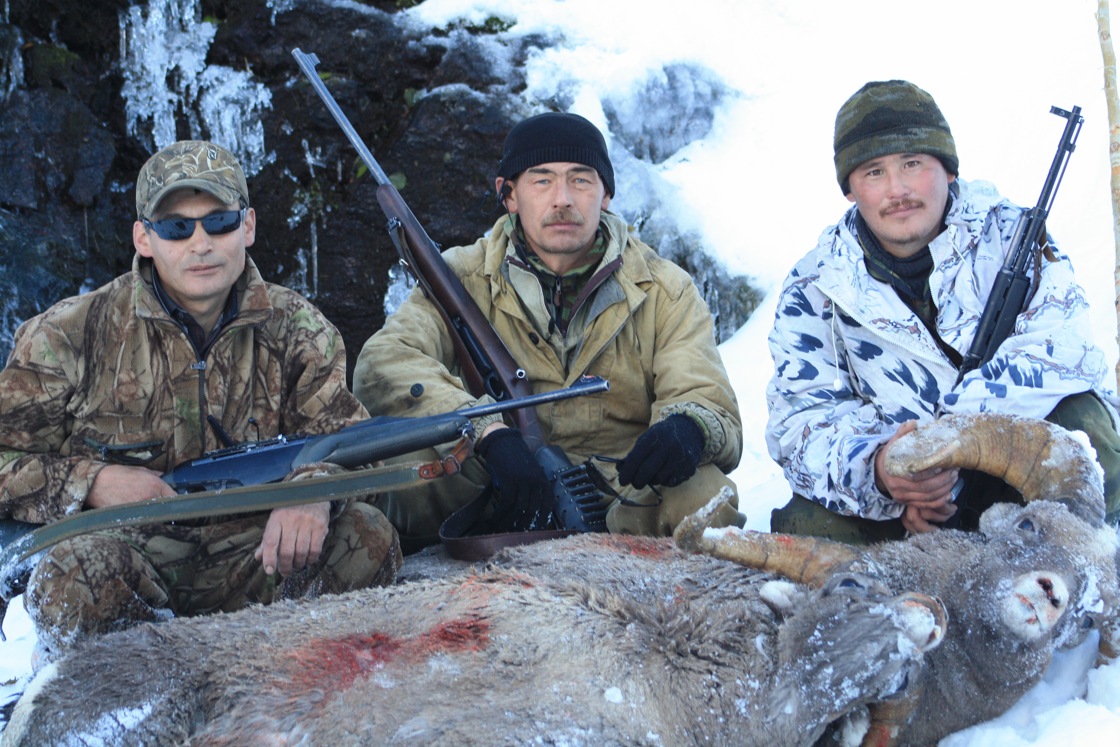 Hunting land animals