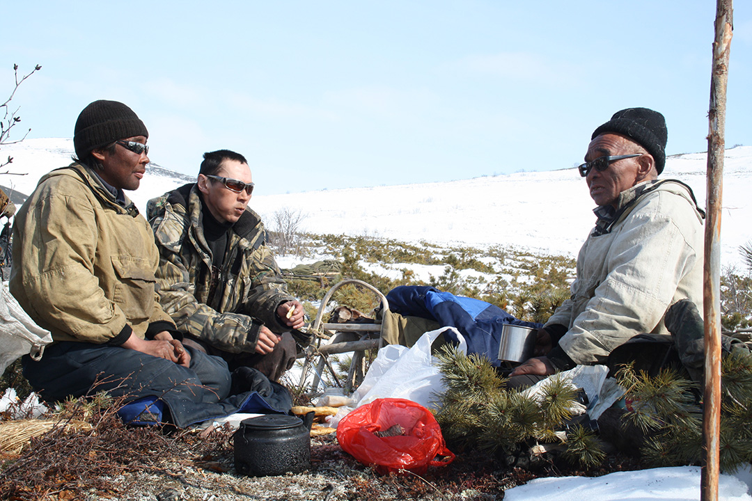Reindeer herders near Achaivayam (1)