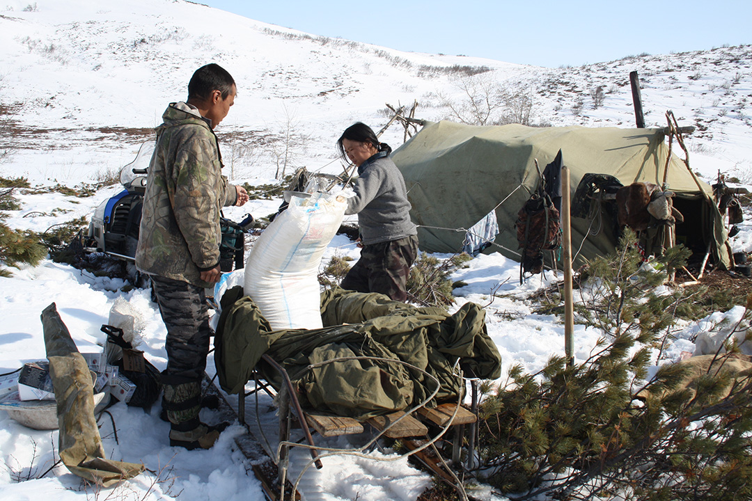 Reindeer herders near Achaivayam (4)