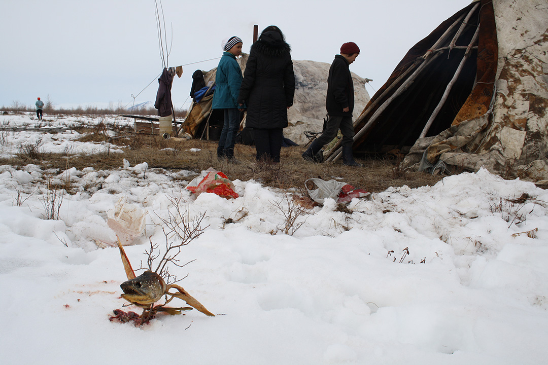 Kilvei feast in Achaivayam (11)
