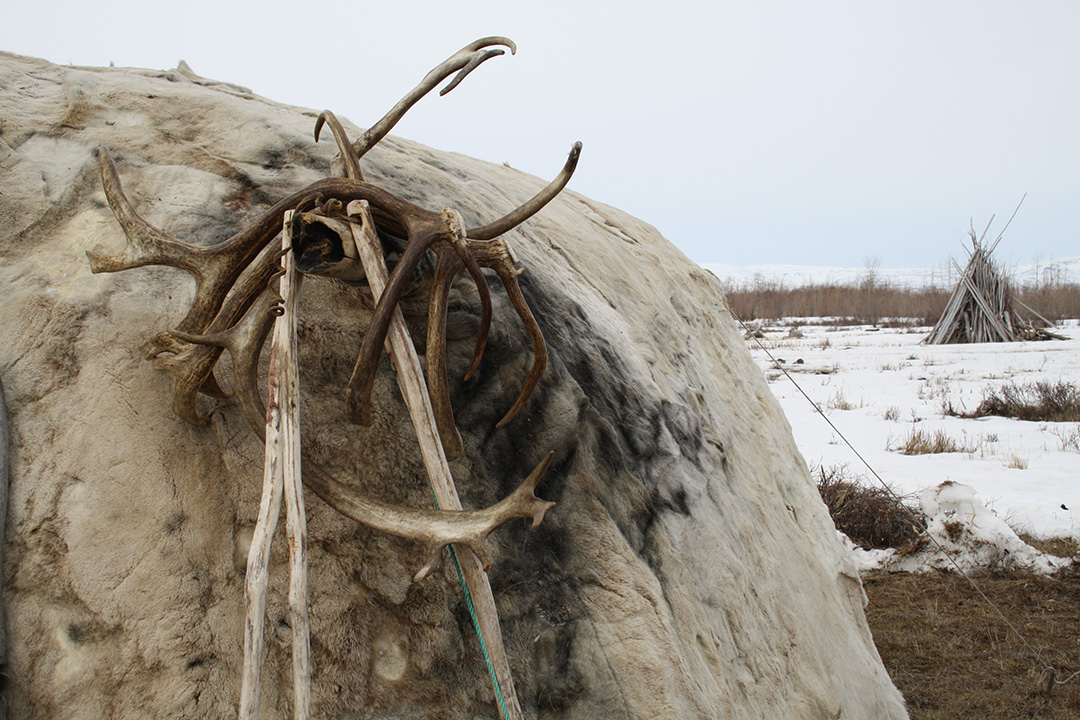 Kilvei feast in Achaivayam (16)