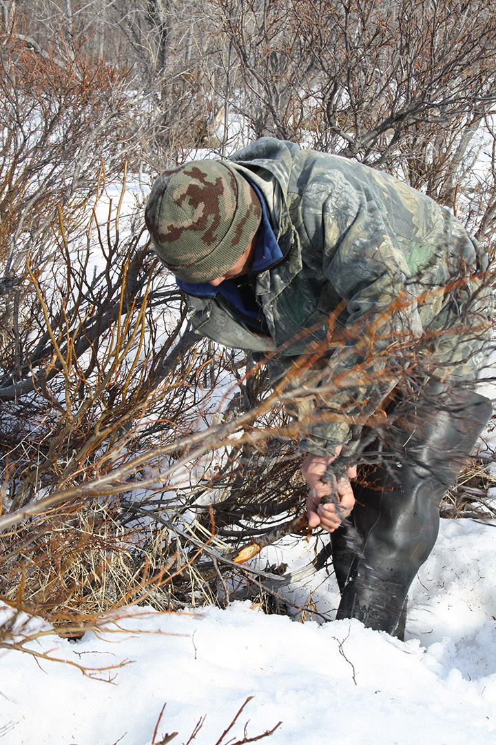 Kilvei feast in Achaivayam (24)