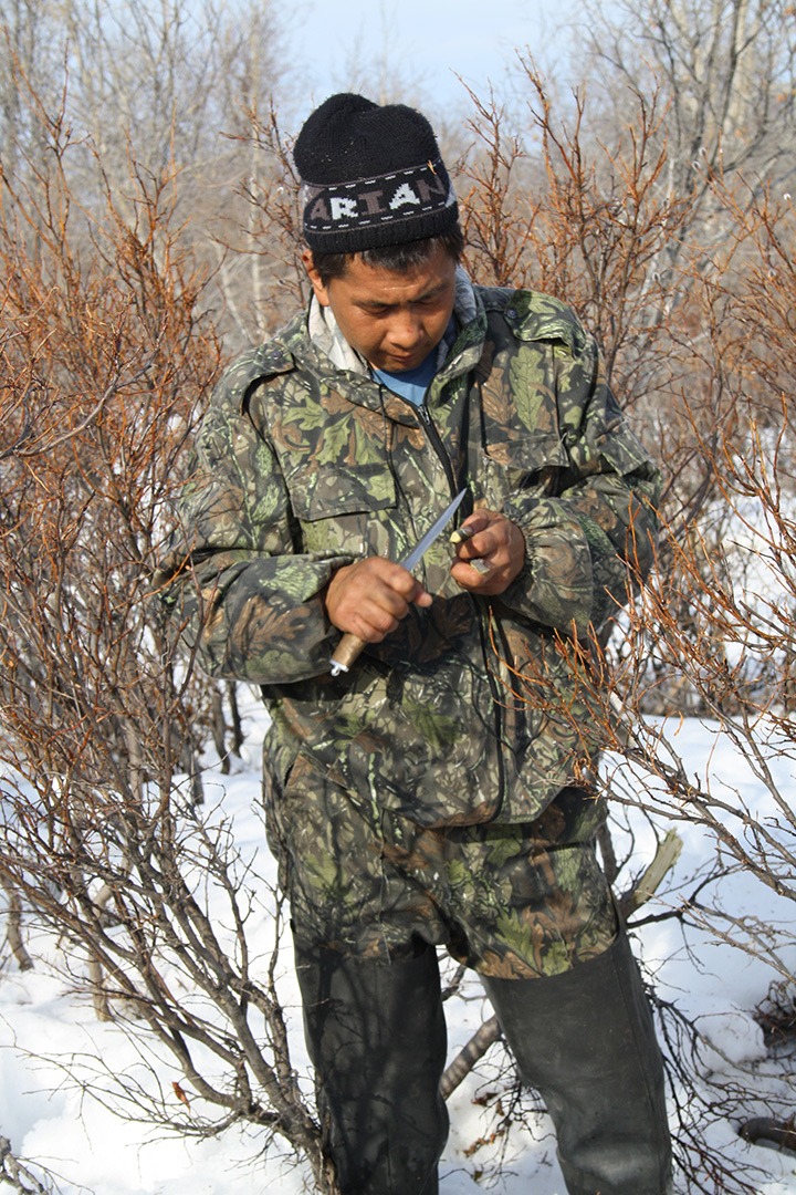 Kilvei feast in Achaivayam (25)