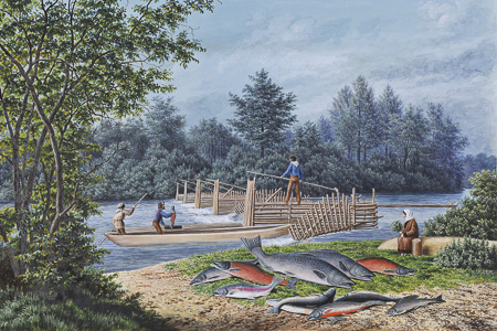 Bibliotheca Kamtschatica