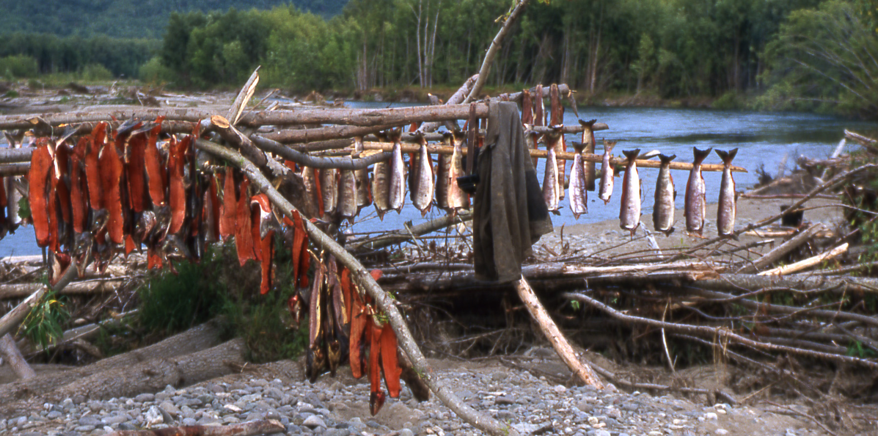 Traditional use of natural resources