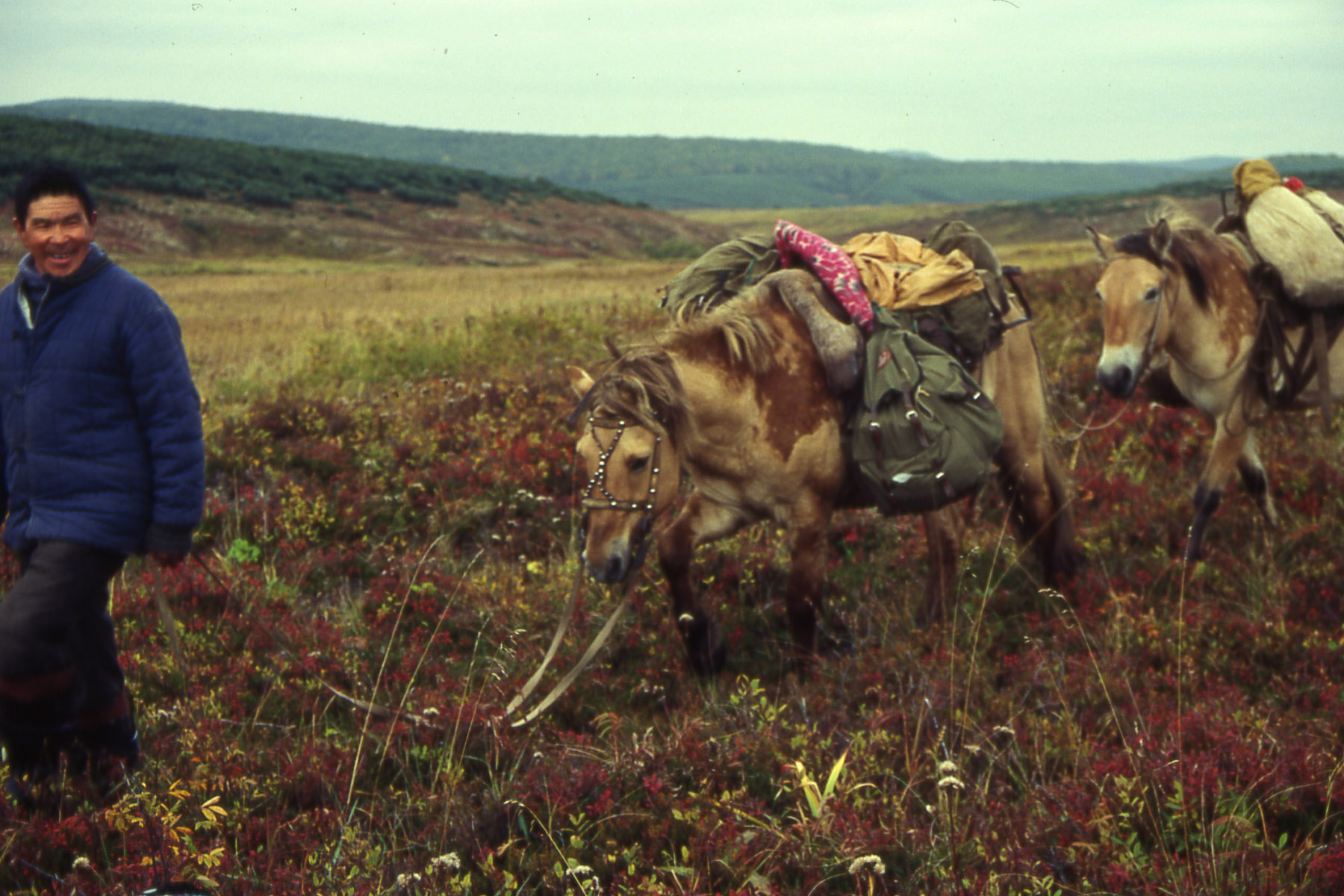 Remembrances of a trip to the reindeer herders