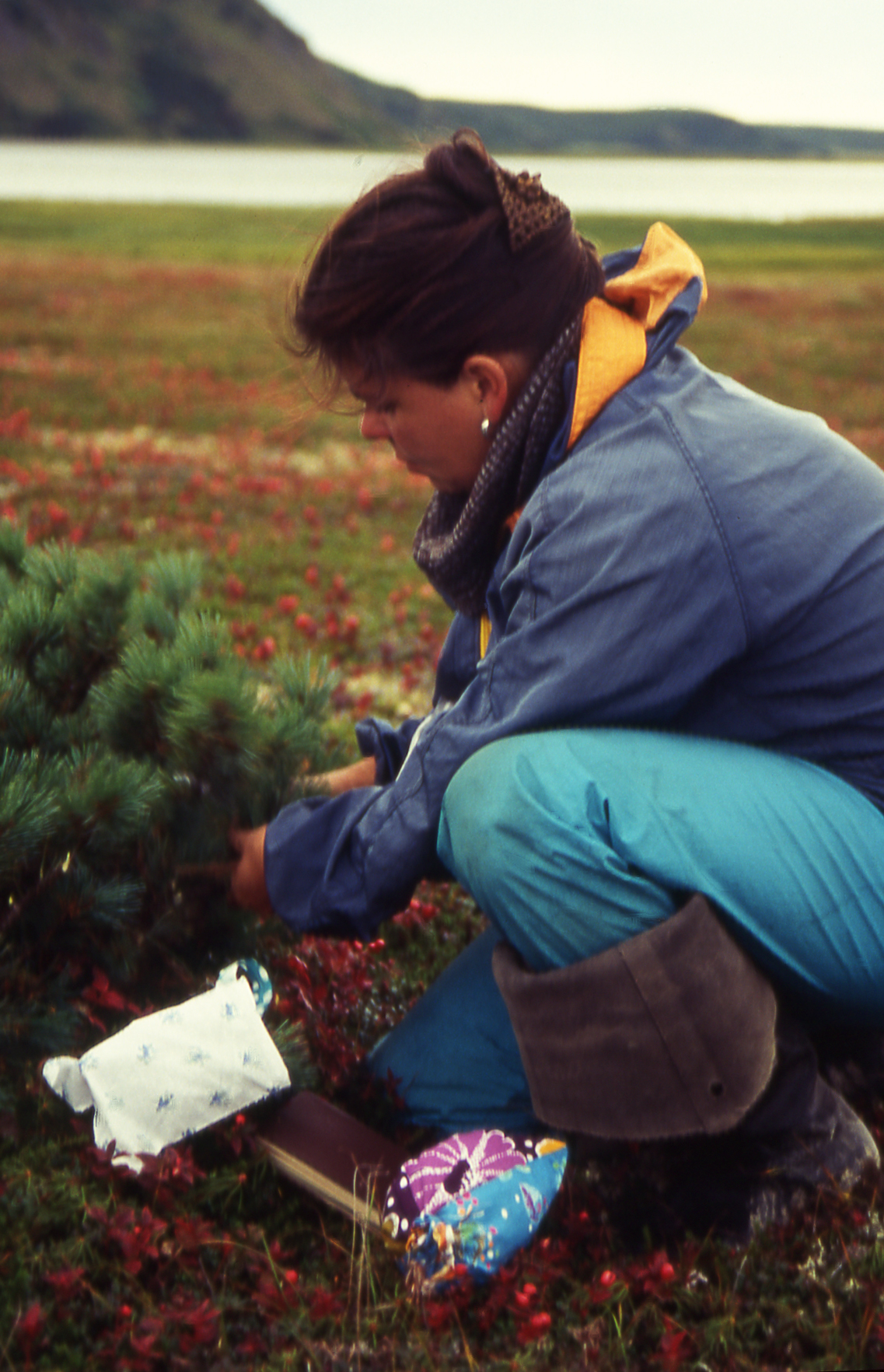 Sustainable use of the environment