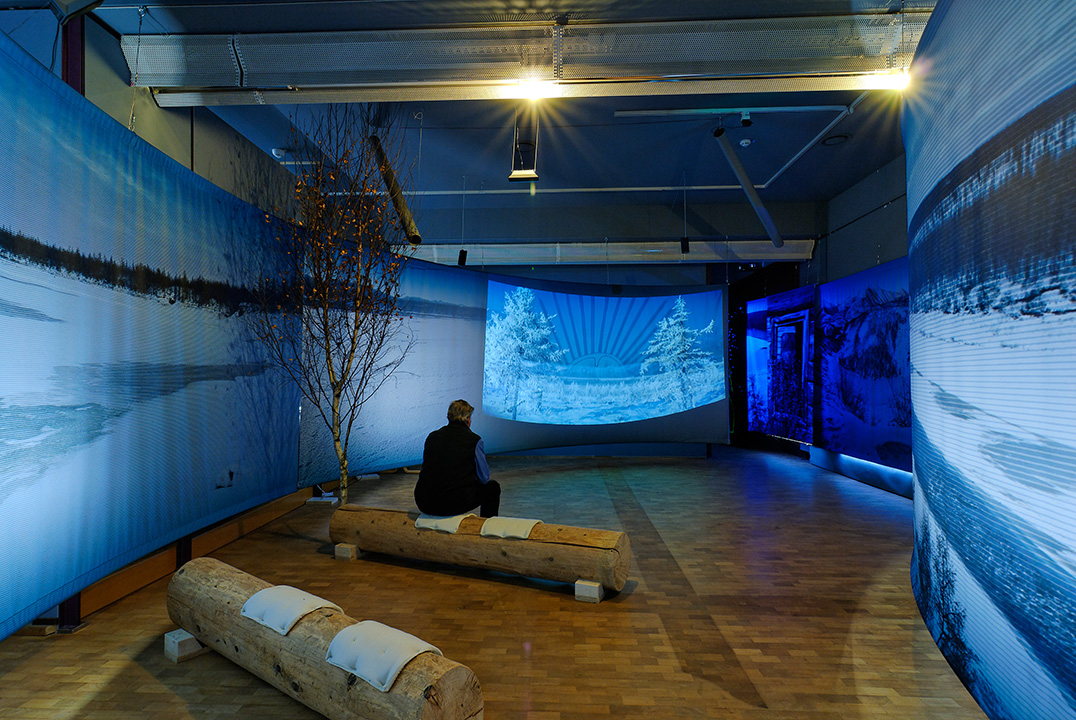 The Shaman's journey