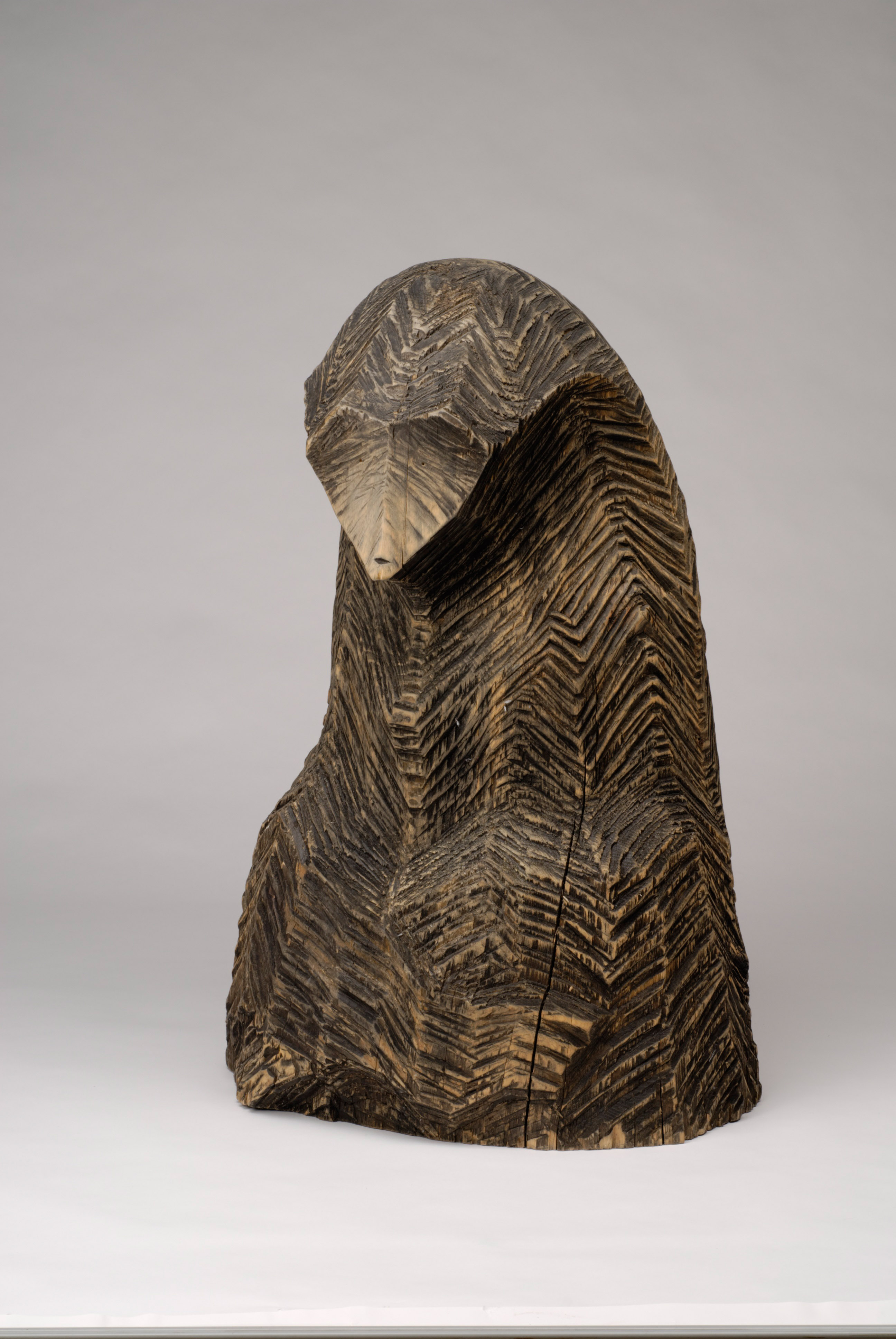 Philosophenbär (philosopher bear)