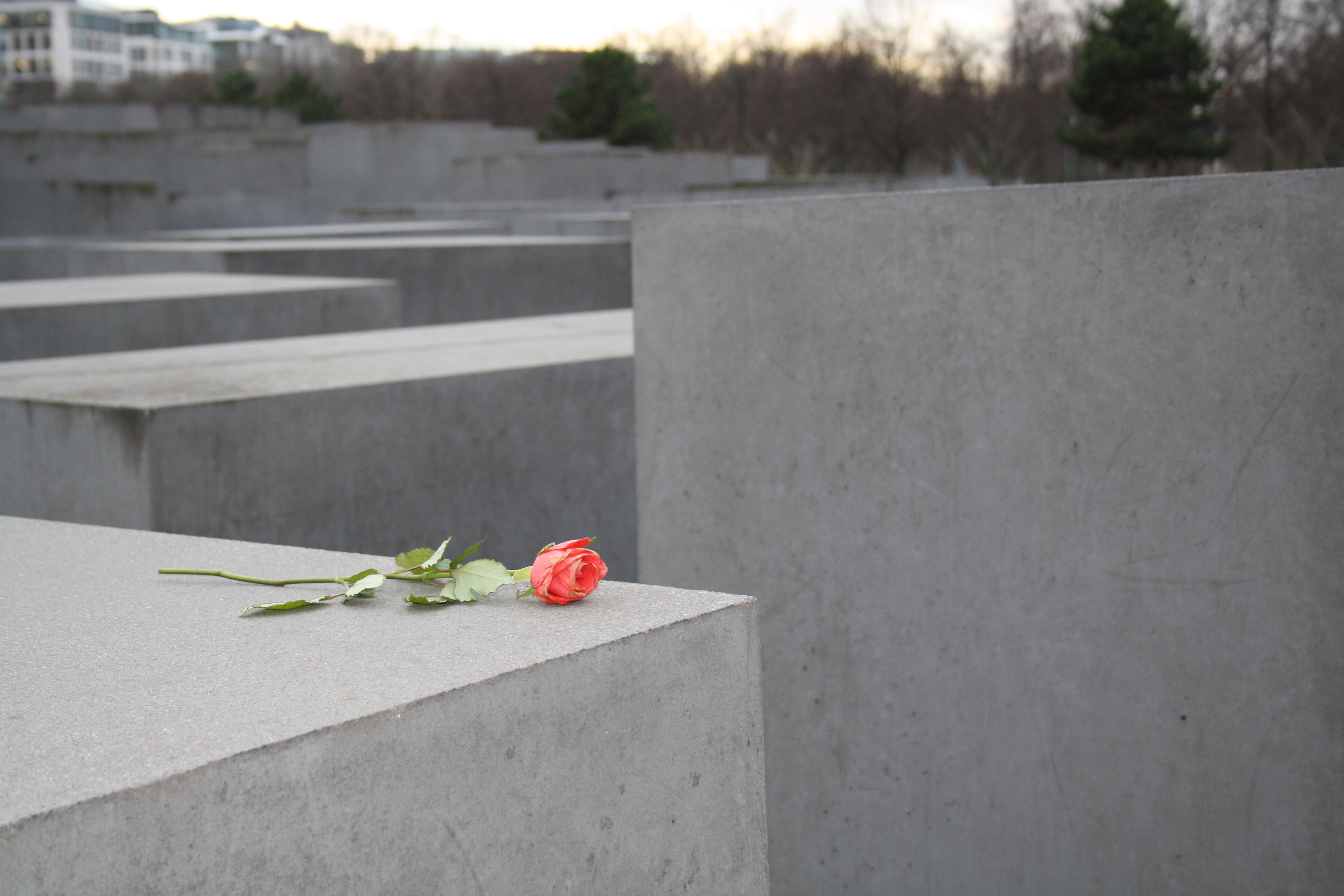 Other areas of interest