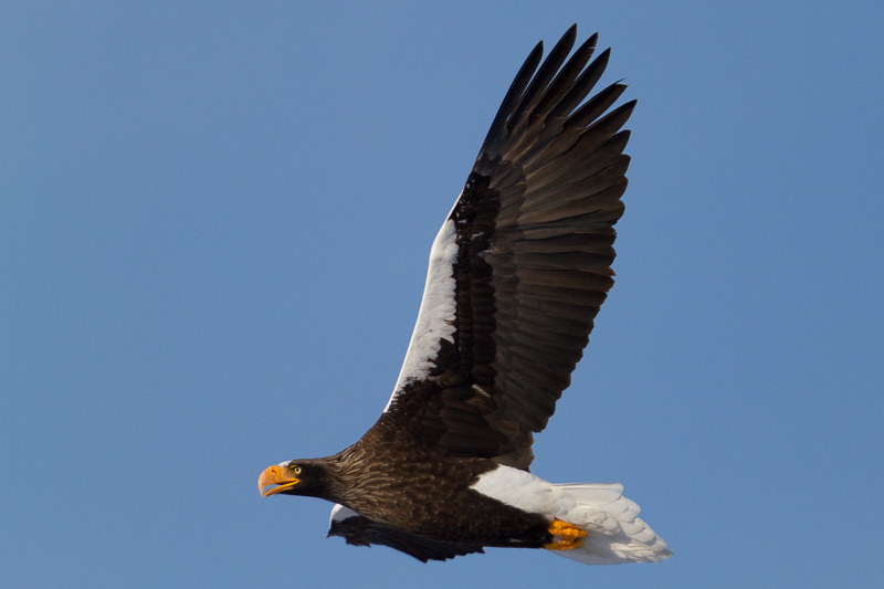 Kamchatka landscapes