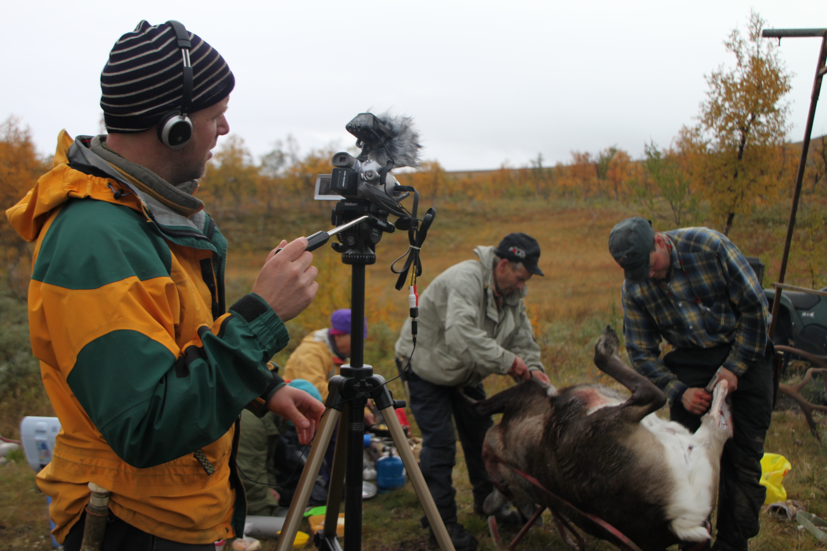 Documentation and preservation of the Pite-Sámi language