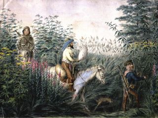 Image: dhn-images/Kittlitz_01.jpg