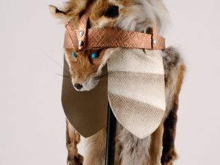 Image: dhn-images/donkan-04.jpg