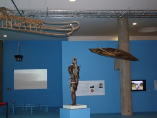 Image: dhn-images/img-0497-kunst-zu-fliegen.jpg