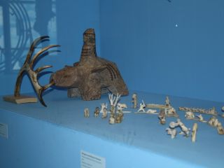 Image: dhn-images/img-0504-kunst-zu-fliegen.jpg