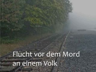 Image: dhn-images/klamer-t.jpg