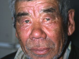 Image: dhn-images/najanovsb.jpg