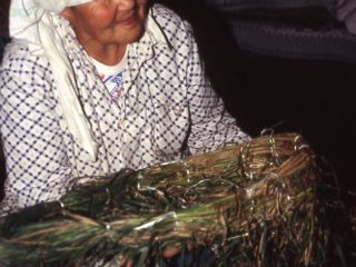 Image: dhn-images/nesterovael.jpg